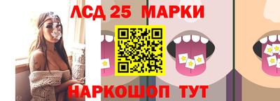 СК Обь