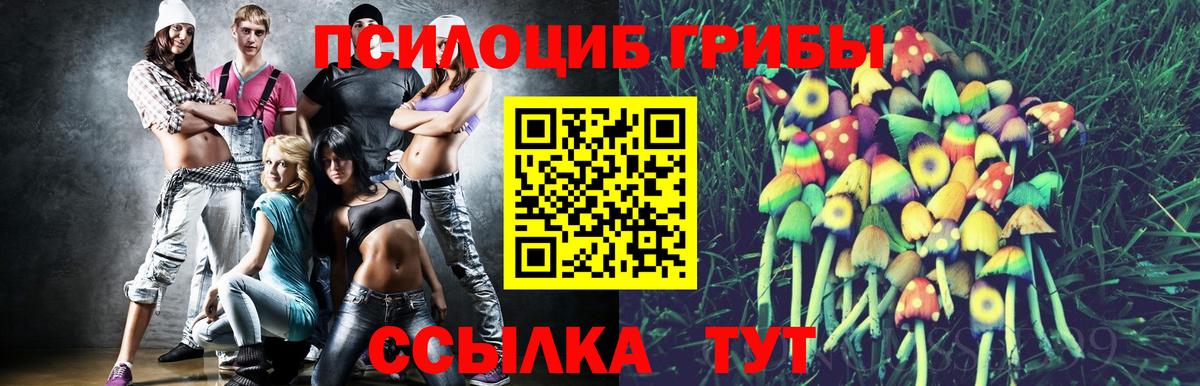 Псилоцибиновые грибы MAGIC MUSHROOMS Серпухов
