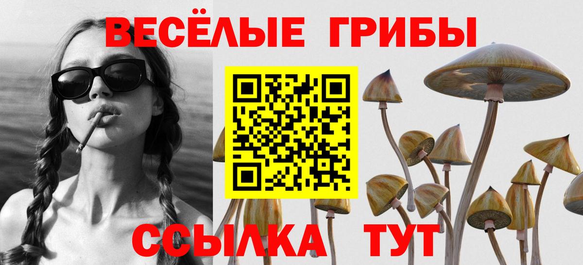 Галлюциногенные грибы мицелий  где купить наркоту  Серпухов  Вход с VPN 